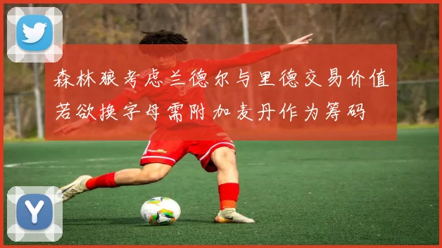 森林狼考虑兰德尔与里德交易价值若欲换字母需附加麦丹作为筹码