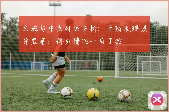 文班与申京对决分析：主防表现差异显著，得分情况一目了然