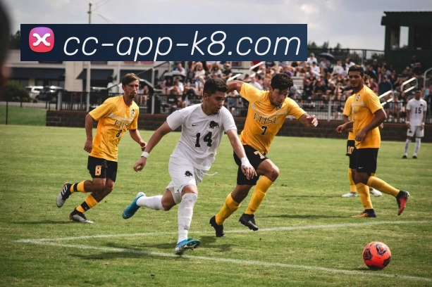 奖项4